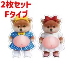 2枚　ぷにぷに　お腹　可愛い　メイド　豆柴　柴犬　立体シール　しばけん　スクイズ