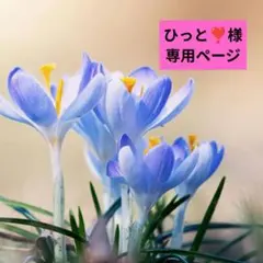 ★ひっと❣️様専用ページ★のサムネイル