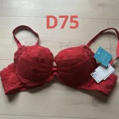 ワコール リボンブラ