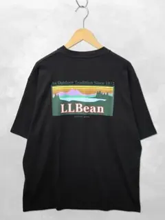 L.L.BEAN 2026SS モリルバックカタディン Tシャツ Lのサムネイル