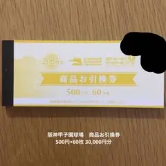 甲子園球場商品お引換券10000円分(500円券×20枚) 2025年最新】甲子園 商品お引換券の人気アイテム - メルカリ