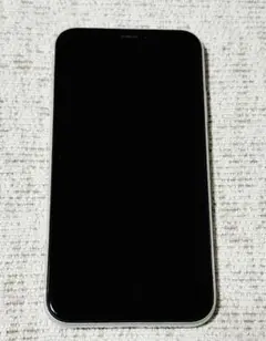 Item thumbnail for item 8a046ae8-4cf7-4fa0-8b1e-e8c0bd678b3c