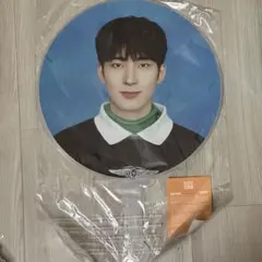 SEVENTEEN セブチ ウォヌ うちわ