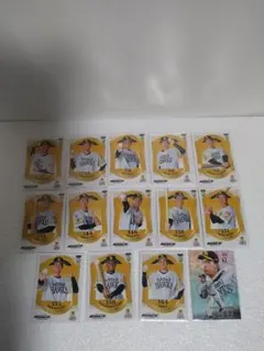 Item thumbnail for item 666306c8-b92b-4612-bc00-7e646eba7854