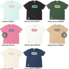 チャムス　tシャツ