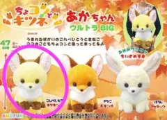 2025年最新】ちょコンとキツネ ウルトラbigの人気アイテム