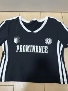 PROMINENCE Vネック クロップドTシャツ