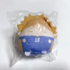 ハイキュー!! ぬいくじ ふわコロりん E賞 てのりんず 日向翔陽