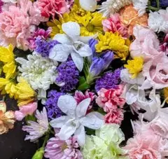 fukuneko様 リクエスト 4点 まとめ商品