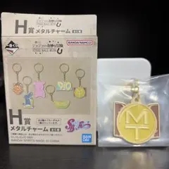 ジョジョ　一番くじ　スティールボールラン　H賞　メタルチャームのサムネイル