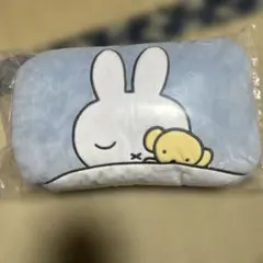 Item thumbnail for item 62a2b8b2-b494-4d18-a200-b28a9fdaeb11