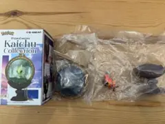 ポケモン　懐中コレクション　カルボウ　リーメント