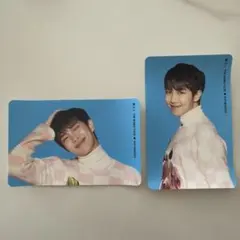 wings ステッカー　トレカ　RM
