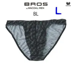 Item thumbnail for item 373893f3-7569-4c77-93fd-7c50fe0187c8