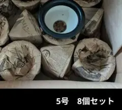 京楽焼　富貴蘭鉢　5号 6個のサムネイル