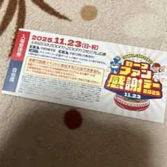 カープファン感謝デー 2025 入場券 自由席のサムネイル