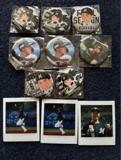 千葉ロッテマリーンズ　西川　グッズセット　チェキ缶バッジ