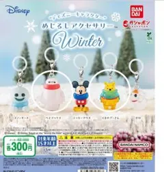 ディズニー めじるしアクセサリー 2種