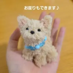 未散様 トイプードルぬいぐるみ モールドールおまとめ【J】【P
