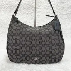 コーチ☆ワンショルダーバッグ F29959 シグネチャー ハンドバッグ ブラック