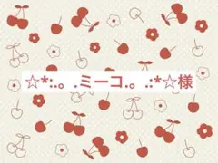 ☆*:.。.ミーコ.。.:*☆様