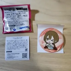 MEIKO　缶バッジ　キャラバッジコレクション　Vivid BAD SQUAD