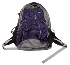 90s 00s L.L.bean ワンポイントロゴ　バックパック