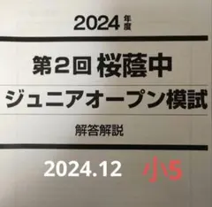 2026年最新】NN桜蔭の人気アイテム - メルカリ