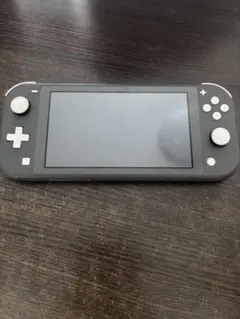 Nintendo Switch Lite グレー 本体