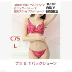 エメフィール ベリッシマ カシュクールレース脇高ブラ(R)ブラ＆Ｔバックショーツ