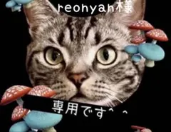 reonyan☆購入前プロフ確認☆様 リクエスト 2点 まとめ商品