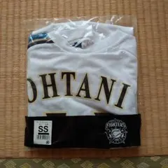 Item thumbnail for item 6f595c36-d47c-4d23-b18d-373863a059d6