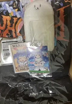 兎田ぺこら 誕生日記念2025 フルセット 数量限定ver. 直筆