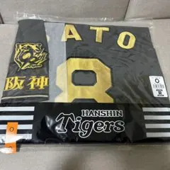 Item thumbnail for item 414d5ff1-bdde-43e6-a20c-bf610e493a68