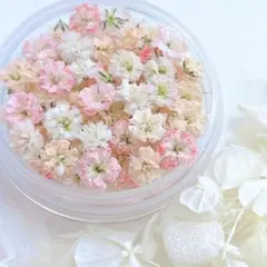 ぴょんくま様 リクエスト 3点 まとめ商品