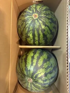 訳あり】山形県産すいか6L(11kg) 2玉入り - メルカリ