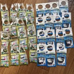 Item thumbnail for item 7ae26bf8-7040-4b39-a624-ae095a4539bd