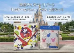 【新品未使用】東京ディズニーリゾート ミッキー＆ミニー タオル 2点セット