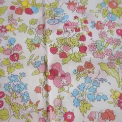 Item thumbnail for item a2368111-2340-4b9c-8cd4-042ff66cf9cc