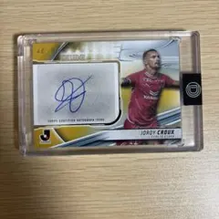 Item thumbnail for item 29388af9-122f-477f-a09f-e1217ac31f28