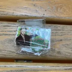 INI 田島将吾 ガチャガチャ カプセルトイ みてコレ