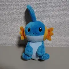 ポケモン　ミズゴロウ　ぬいぐるみ　pokemon fit　ポケモンセンター