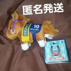 2025年最新】マヤノトップガンぬいぐるみの人気アイテム - メルカリ