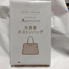 雑誌付録　GLOW 　大容量　ボストンバッグ