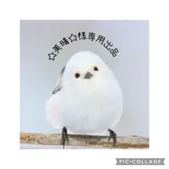 ☆美晴☆様専用出品