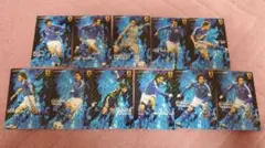 サッカー 日本代表チップス 2006 カード ジーコJAPAN