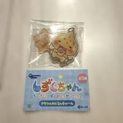 しずくちゃん ちいさなしずくのようせいたち アクリル めじるし チャーム