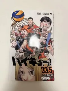 【限定】ハイキュー!! 33.5巻 冊子　映画ゴミ捨て場の決戦