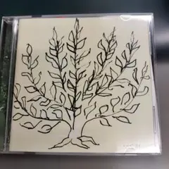 KOBUDO イシクシミ