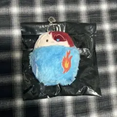 ヒロアカ 僕のヒーローアカデミア くるみたぴぬい 轟焦凍